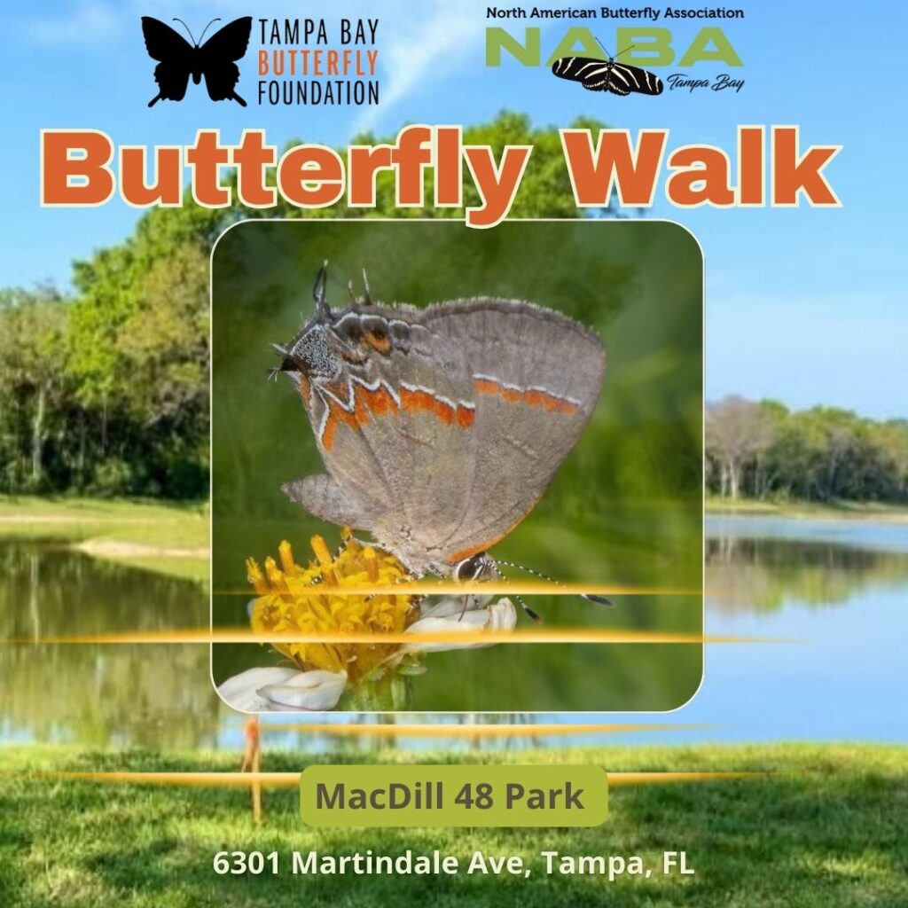 Butterfly Walk - 04/26/26