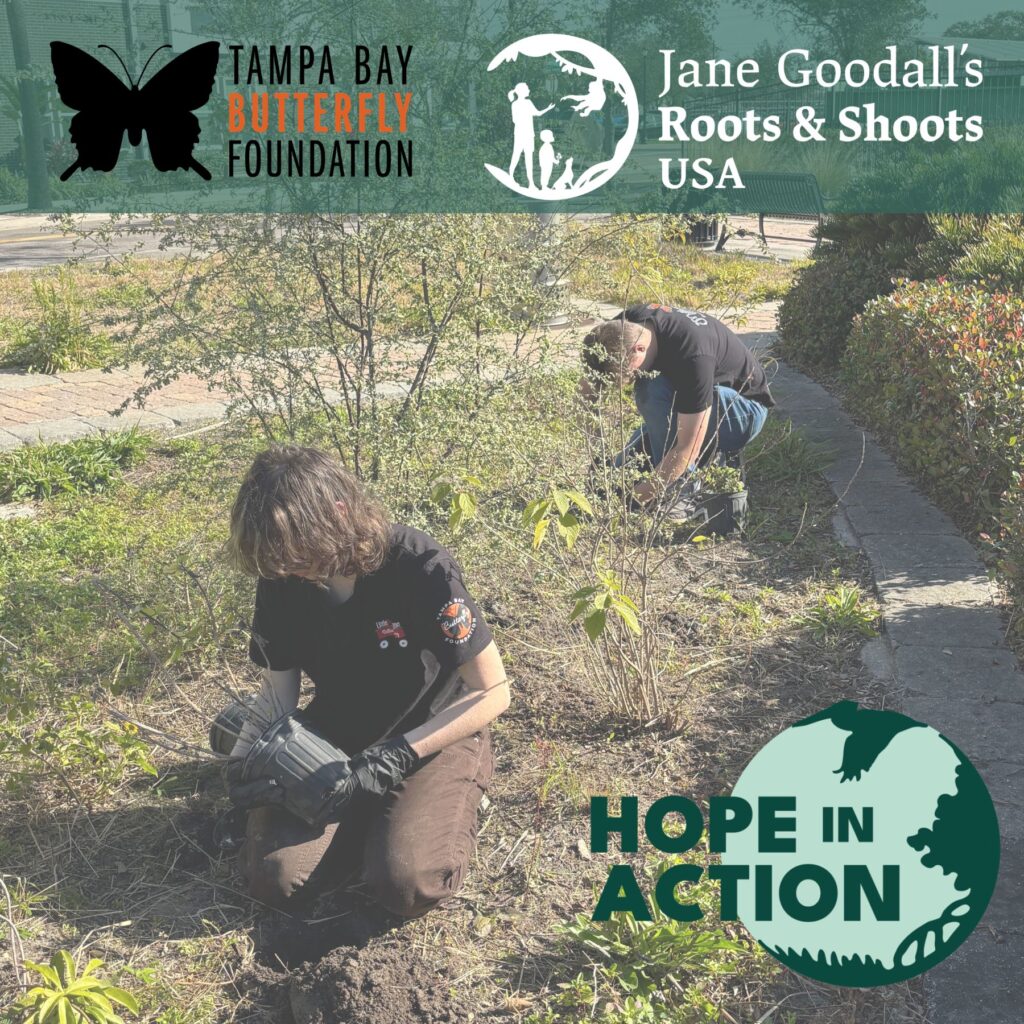 Hope In Action at Encore! Park: 03/8/26