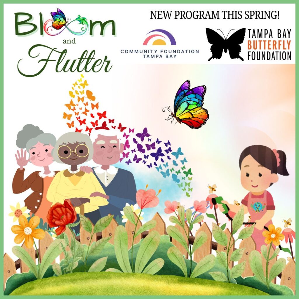 Bloom & Flutter Kickoff